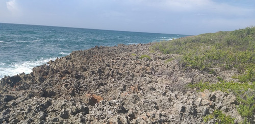 Solar En La Costa De Najayo De 22,10 Metros Acepto Un Vehículo Y Resto Cash