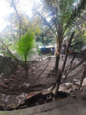 Imagem 5 de 14 de Chácara Com 3 Mil Metros, Tres Dormitórios Em Itanhaém