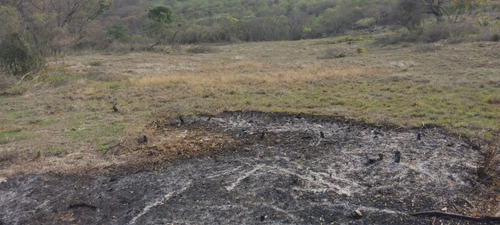 Imagen 6 de 7 de Manzanas De Tierra A La Venta