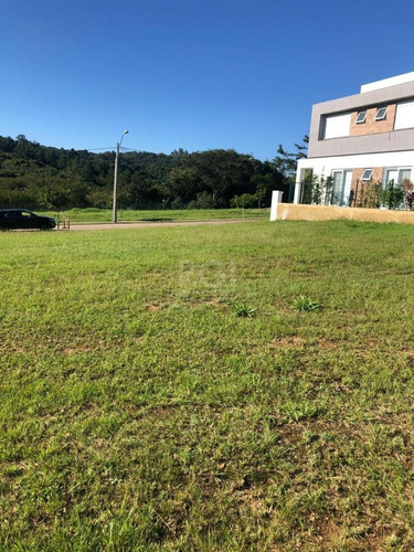 Terreno Em Vila Nova - El56353981