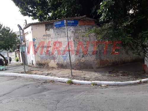 Imagem 6 de 8 de Terreno Em Casa Verde - São Paulo, Sp - 359252