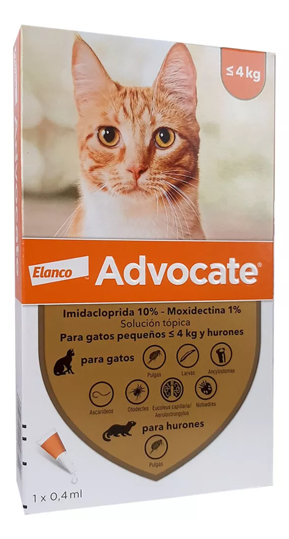 Tercera imagen para búsqueda de pipeta para gatos