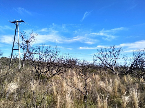 Imagen 9 de 11 de Terreno Campo En Venta Ubicado En Cortaderas, Chacabuco