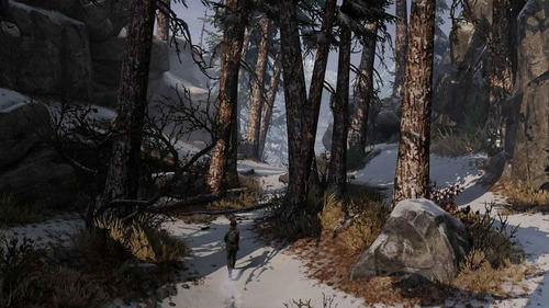 Ps4 The Last Of Us Remasterizado Físico