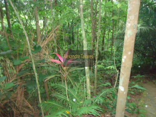 Imagem 18 de 25 de Casa - Ca00092 - 71129479