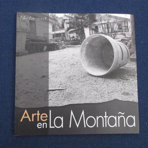 Arte En La Montaña, Enrique Rencoret