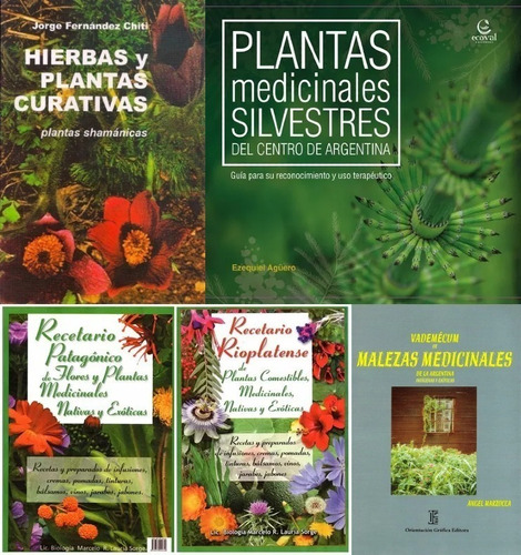 Plantas Medicinales Y Curativas Shamanicas Con Recetas