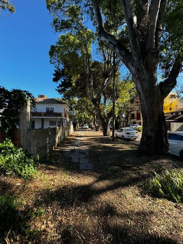 Terreno En Venta En San Bernardo