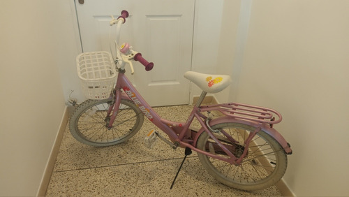 Bicicleta Para Niña Rin 20