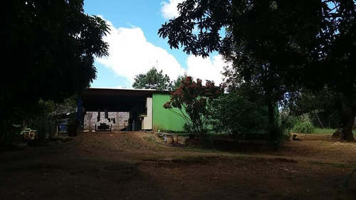 Imagem 7 de 8 de Vende Se Ou Troca Chácara Com Bela Vista.