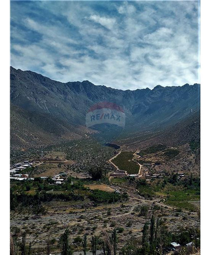 Campo En Venta - Colliguay- Iv Region-paltas