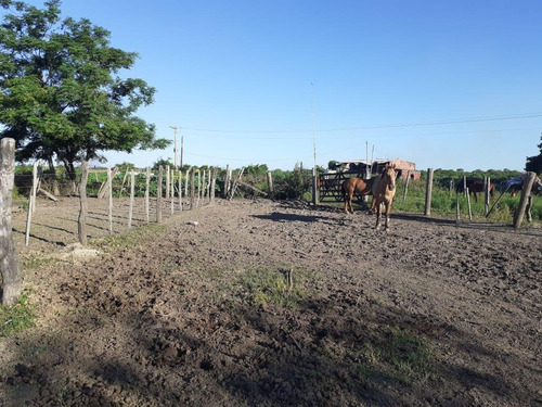 Imagen 5 de 6 de Campo 300 Has Entre La Criolla Y Crespo