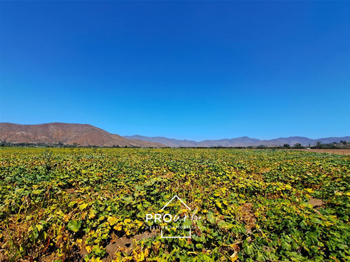 Gran Hacienda Curacavi 108 Hectáreas Parcelables Con Agua
