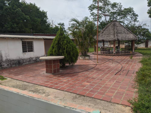 Imagen 3 de 11 de Venta De Finca En Tinaquillo Estado Cojedes Cod. 12604 Hm 04245552216