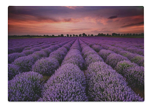 Ambesonne Tabla Cortar Color Morado Oscuro Foto Campo Arbol