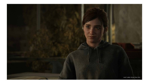 The Last Of Us Special Edition Siee Ps4 Físico