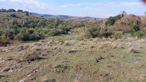 Campo De 80 Has En Paraje Carape Con Costa De Arroyo.
