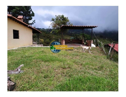 Imagen 9 de 10 de Finca Jaji