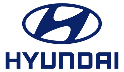 Tanque Radiador Hyundai Accent Inferior Salida 60,5 Cm