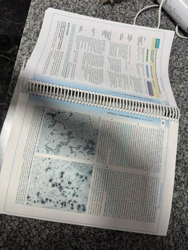 Histologia Ross 8 (Usado)