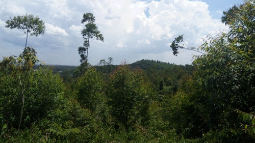 Imagem 26 de 30 de Terreno Botujuru Mogi Das Cruzes Sp Brasil - 87