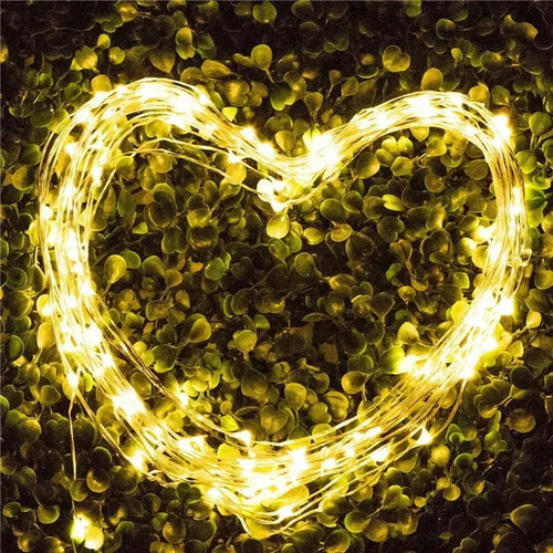 Nueva Cadena De Luces Led De 2/50 M Con Cable De Cobre Con B