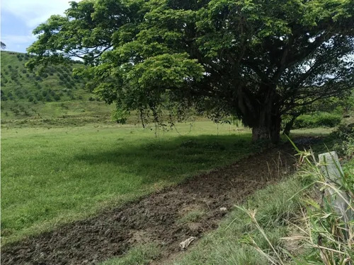 Se Vende Finca Vía Barragan - Rio Verde