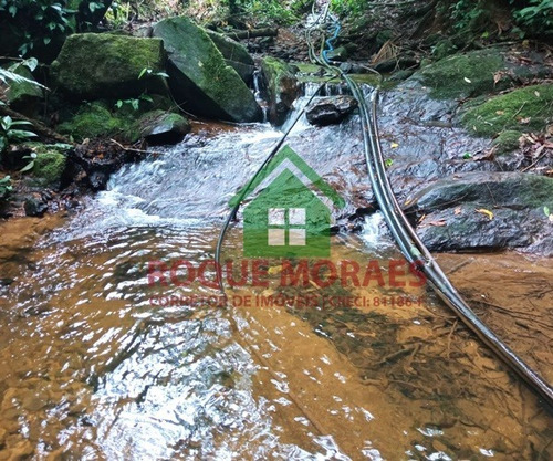 Imagem 11 de 28 de Sítio Medindo 96.800m² No Vale Do Ribeira Sp Ref.: 0903
