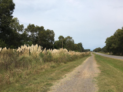 Lote En Santa Isabel De La Pedrera- Ruta 10 Interbalnearea-uruguay