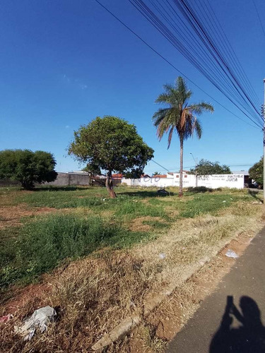 Imagem 3 de 14 de Terreno, Vila São Pedro, Pirassununga - R$ 400 Mil, Cod: 10132268 - V10132268