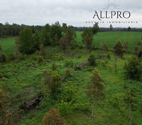  ¡vive En Armonía Con La Naturaleza En Este Hermoso Terreno!