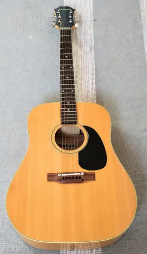 Epiphone ft 145 top made in japan