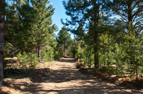 Terreno Lote En Venta Ubicado En Dos Valles, Bariloche