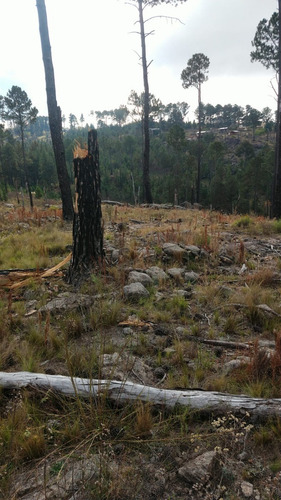 Imagen 4 de 12 de Preventa Financiado Tierras Del Cacique Yan Lotes 1200 M2 Villa Yacanto De Calamuchita - Córdoba