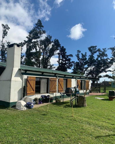 Imagen 1 de 14 de Venta De Campo Las Flores Buenos Aires
