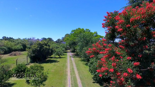 Importante Casa - 8000 M2 Sobre El Rio - Arroyo Seco