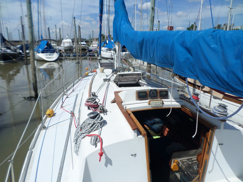 Velero Pandora 32