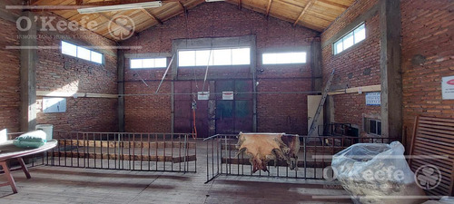 Campo Estancia En Venta De 5300 Has En Patagonia Bariloche.