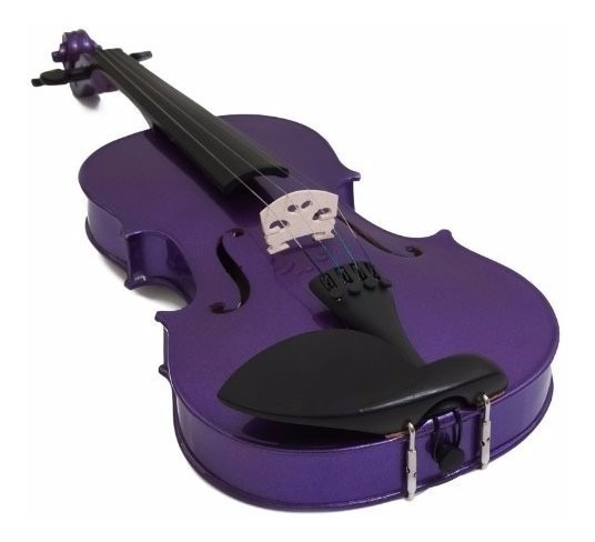 Violin Mendini por Cecilio gran gran barniz tamaño completo con estuche de condición de menta 