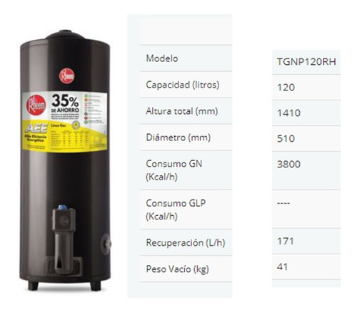 Imagen 2 de 4 de Termotanque Rheem Gas Aee 120 Lts Tgnp120rh Pie