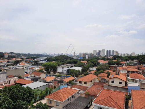 Imagem 6 de 28 de Apartamento Com 2 Dorms, Vila Morse, São Paulo, Cod: 4092 - A4092