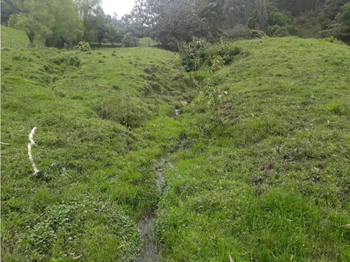 Vendo O Permuto Finca En Junin Cundinamarca