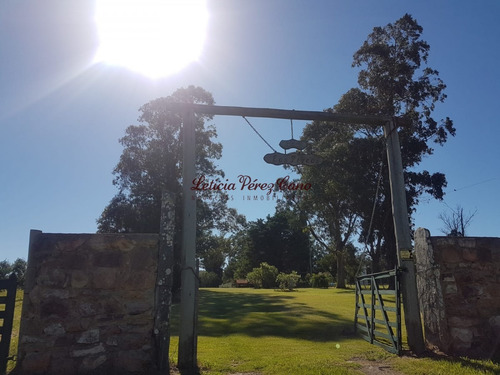 Venta De Chacra 46 Has Y Media Las Cañas Con Muy Buena Produccion De Olivos - Ref: 18579