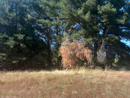 Terreno Costado Saltos Del Laja