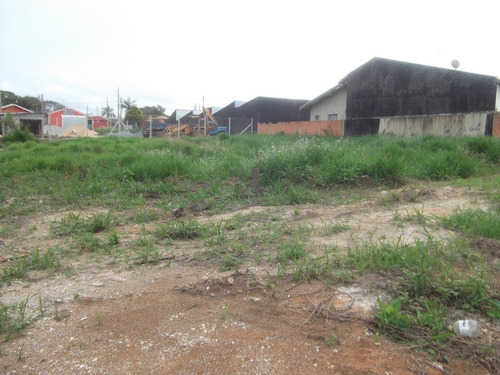 Imagem 3 de 9 de Terreno Comercial Frente Para Asfalto