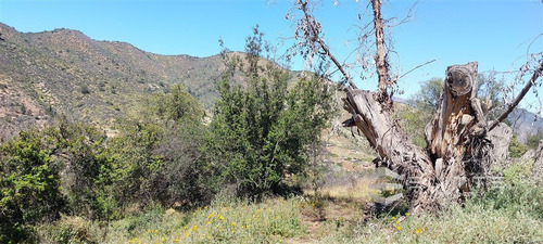 Parcela En Venta En Olmué, Quebrada Alvarado