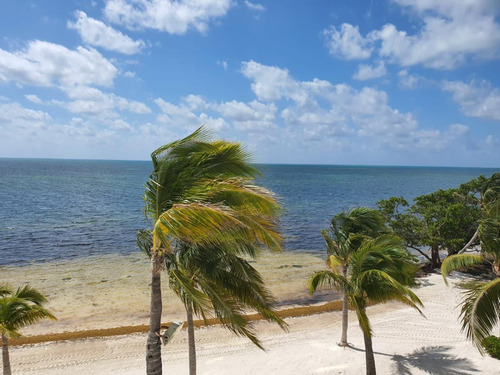 Imagen 1 de 8 de Hermoso Departamento En Venta Ubicado En La Zona Hotelera, Cancun
