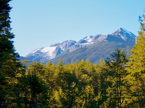 Maravillosa Parcela Región De Aysén 2,5 Ha