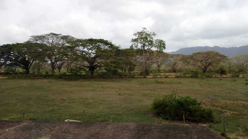 Imagen 7 de 15 de Finca En La Alegría En Yaracal Cerca De Tucacas
