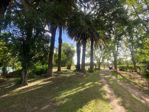 Venta De Fondo De Comercio - Restaurante - HosterÃa- La Querencia De Monasterio - Lezama